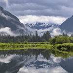 Diaporama - Great Bear Rainforest