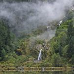 Diaporama - Great Bear Rainforest