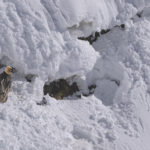 Diaporama - Nos dernières images