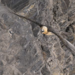 Diaporama - Nos dernières images