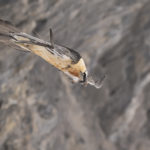 Diaporama - Nos dernières images