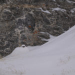 Diaporama - Nos dernières images