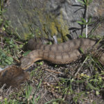 Diaporama - Nos dernières images