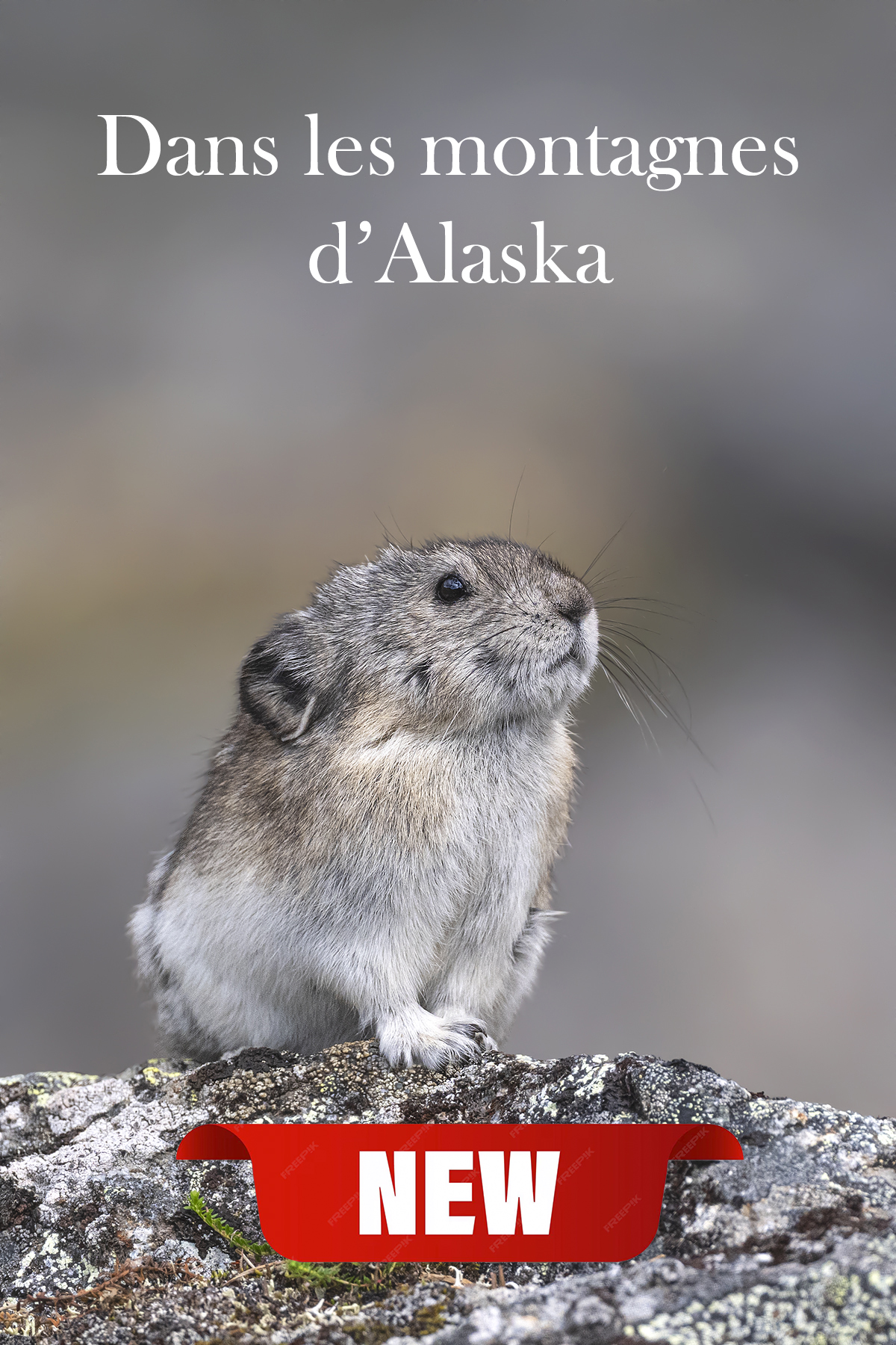 Conférence – Dans les montagnes d’Alaska - Couverture
