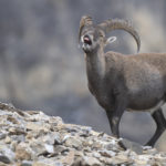 Diaporama - Nos dernières images