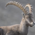 Diaporama - Nos dernières images