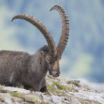 Diaporama - Nos dernières images