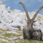 Diaporama - Nos dernières images