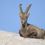 Diaporama - Nos dernières images