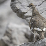 Diaporama - Nos dernières images