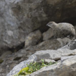 Diaporama - Nos dernières images