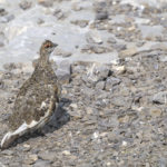 Diaporama - Nos dernières images