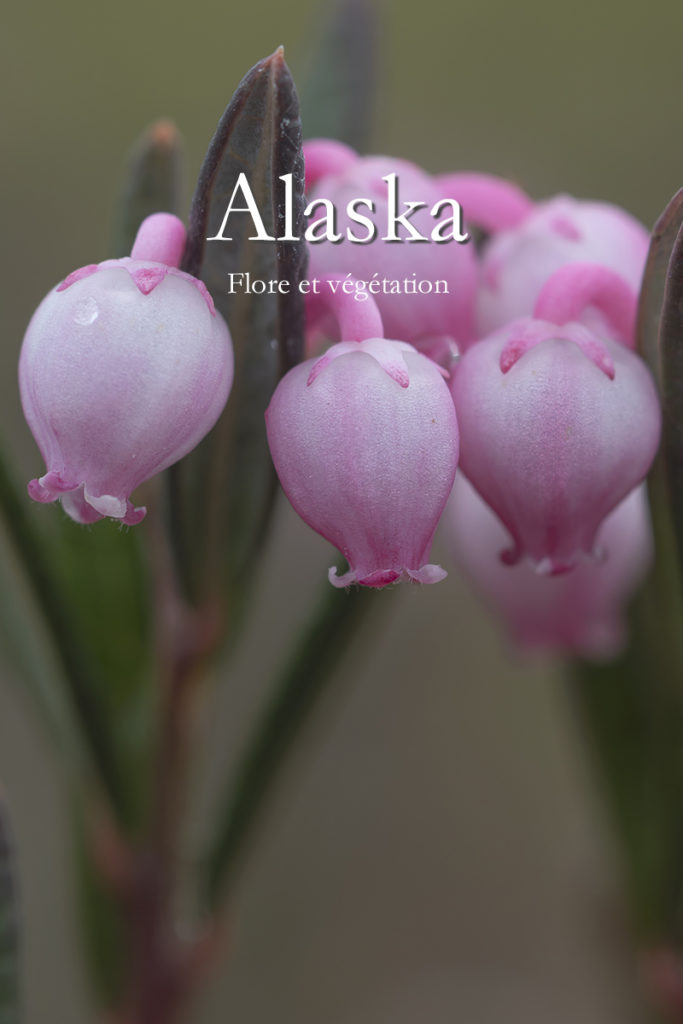 Diaporama - Alaska - Flore et végétation - Couverture