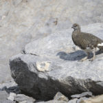 Diaporama - Nos dernières images