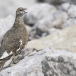 Diaporama - Nos dernières images