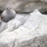 Diaporama - Nos dernières images