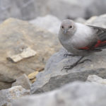 Diaporama - Nos dernières images