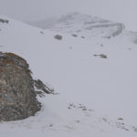 Diaporama - Lagopède alpin