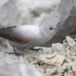 Diaporama - Nos dernières images