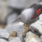 Diaporama - Nos dernières images