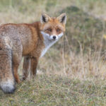 Diaporama - Nos dernières images