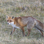 Diaporama - Nos dernières images