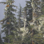 Diaporama - Alaska - Prince William Sound