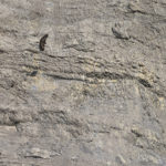 Diaporama - Nos dernières images