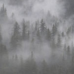 Diaporama - Alaska - Prince William Sound