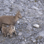 Diaporama - Nos dernières images