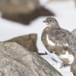 Diaporama - Nos dernières images