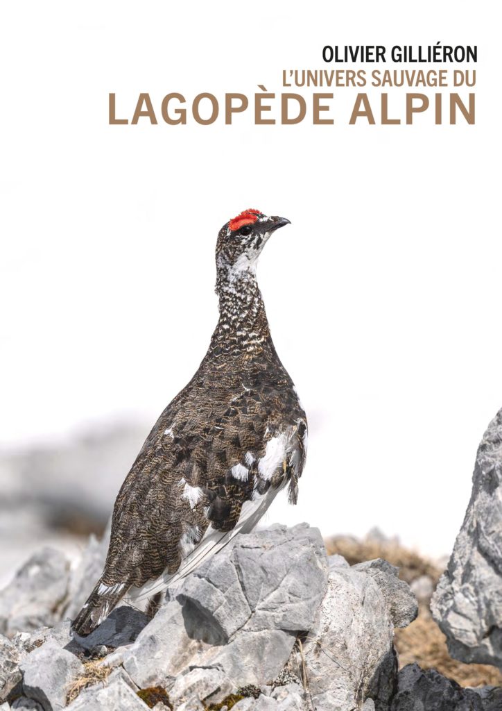Actualités - Livre Lagopède Alpin