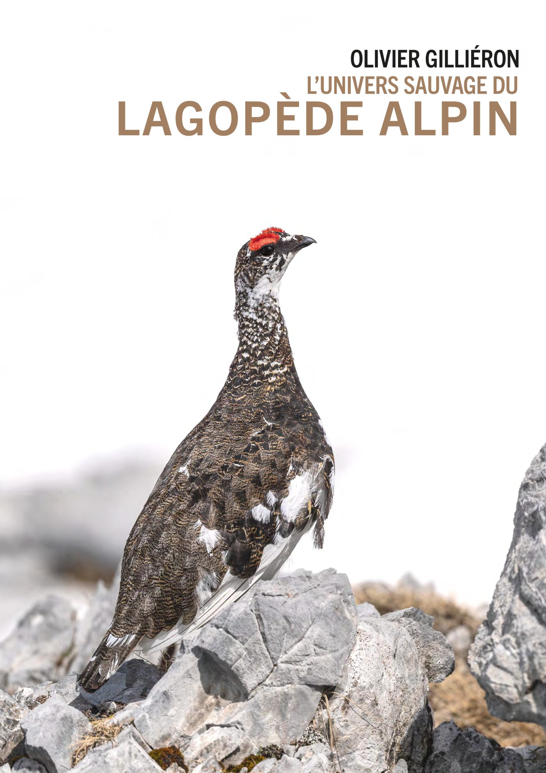 LIVRE - LAGOPEDE ALPIN