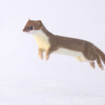 Diaporama - Nos dernières images