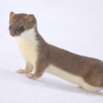 Diaporama - Nos dernières images