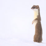 Diaporama - Nos dernières images