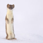 Diaporama - Nos dernières images