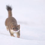 Diaporama - Nos dernières images