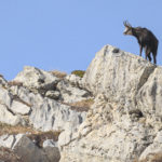 Diaporama - Nos dernières images