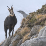 Diaporama - Nos dernières images