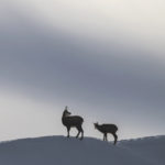 Diaporama - Nos dernières images