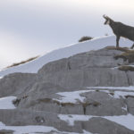 Diaporama - Nos dernières images