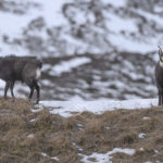 Diaporama - Nos dernières images