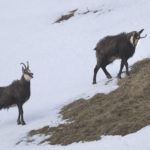 Diaporama - Nos dernières images