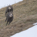 Diaporama - Nos dernières images