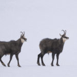 Diaporama - Nos dernières images