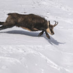 Diaporama - Nos dernières images