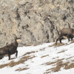 Diaporama - Nos dernières images