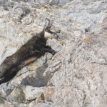 Diaporama - Nos dernières images