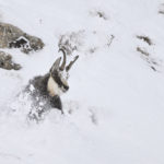 Diaporama - Nos dernières images